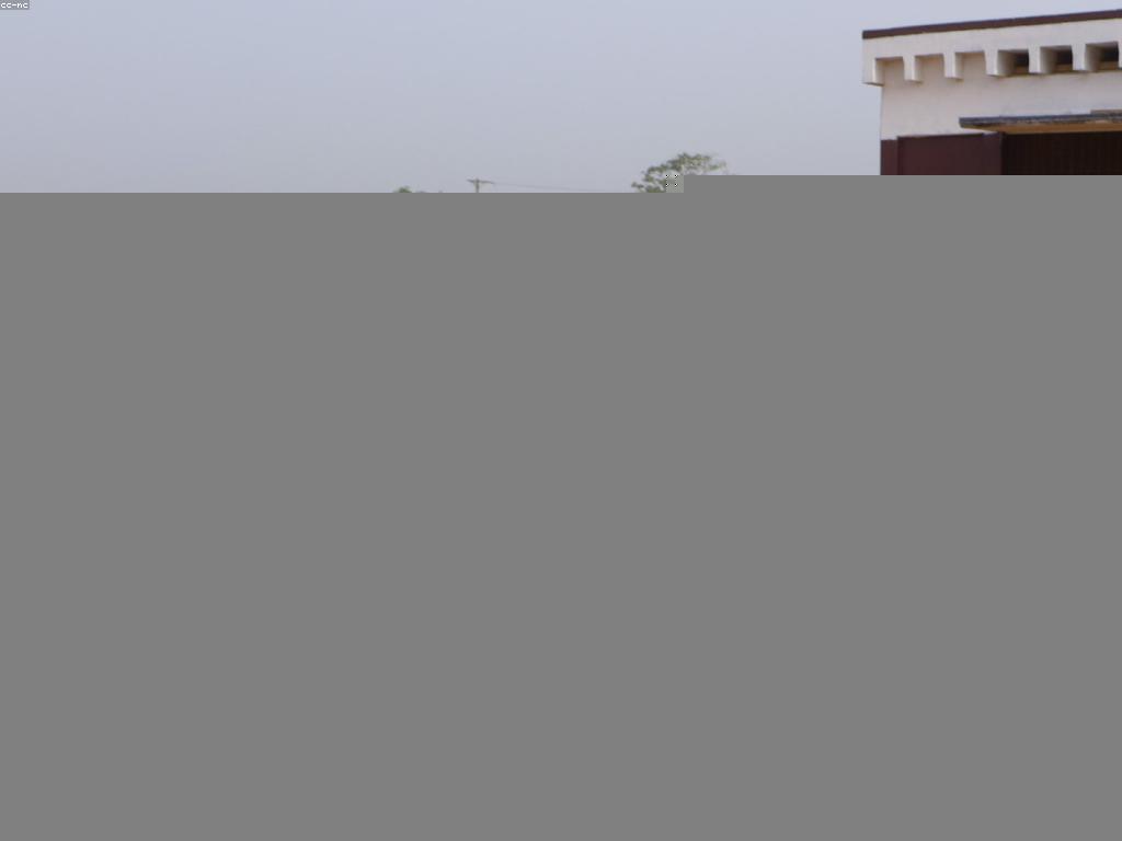 គំនិតលេងមានភាពច្នៃប្រឌិតសម្រាប់ការអភិវឌ្ឍន៍ជំនាញ