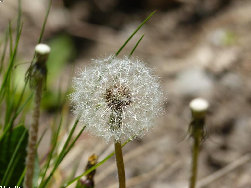 វិធីលេងដ៏ច្នៃប្រឌិតសម្រាប់ពេលទំនេរ
